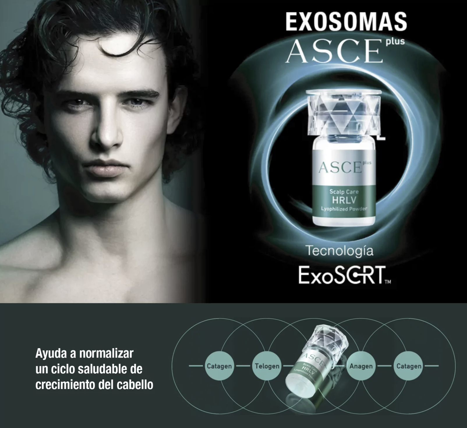 exosomas asceplus hrlv 10.000 Millones de Exosomas solución Premium para reequilibrar y normalizar la perdida de cabello, el cuero cabelludo en todas sus capas. Epidermis, Dermis y Subcutis.